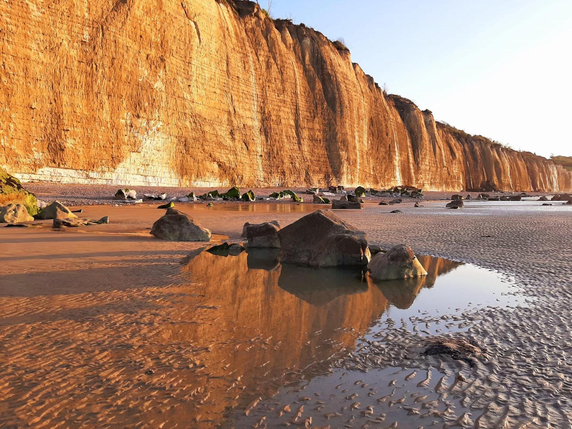 Gite Les Grandes Masures Vasterival Varengeville-sur-Mer Bagian luar foto